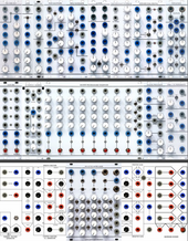 Serge System