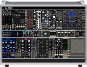 Performance case