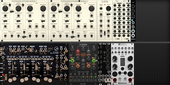 My captive Eurorack