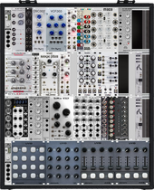 The Custom Case