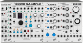 My flightless Eurorack