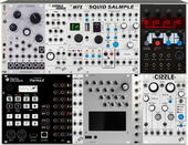 My prostrate Eurorack