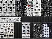 My caudate Eurorack