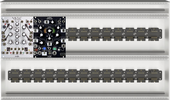 My beetle Eurorack