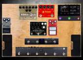 My laden Pedalboard