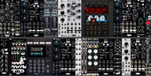 Everything Rig (warp) (copy)