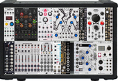 My phylloid Eurorack