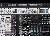 My buried Eurorack (copy)
