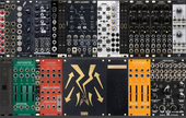 My haploid Eurorack