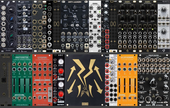 My haploid Eurorack