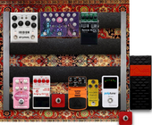 THE PEDALS