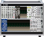 My labrid Eurorack