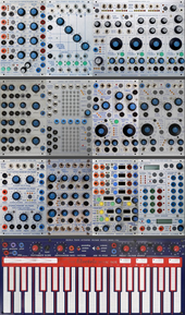 My scirrhoid Buchla