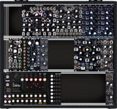 SYLV CASE (copy)