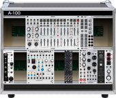 My wooded Eurorack