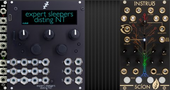 My labroid Eurorack