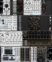 My unshaved Eurorack (actually have) (copy)