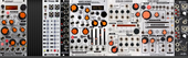 Harvestman