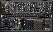 Black and Blue Shared System Pus
