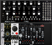 My lifelike Eurorack