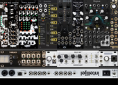 Intellijel Focused