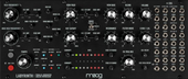 ★Moog Labyrinth Skif