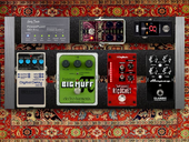 My seedless Pedalboard