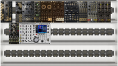 My adult Eurorack