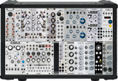 My prickly Eurorack (copy) (copy) (copy)