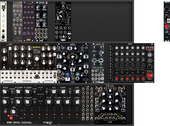My fungoid Drumorack