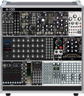 CASE 2 (copy)