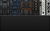 My squamate Eurorack