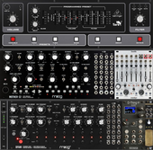 The Moog