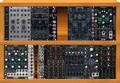 My riblike Eurorack