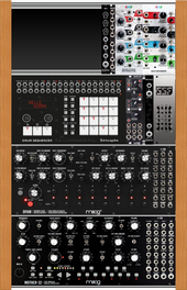 Moog Case (copy)
