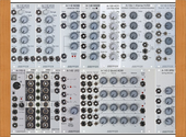 My unruled Eurorack