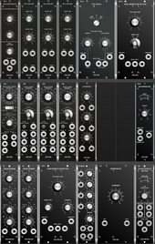 My gyrose Moog Unit