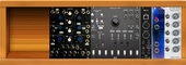 BluesKim
