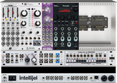 Intelijel 62hp live and Creative machine