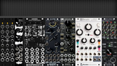 My hawklike Eurorack