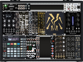 My main case