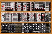 My fucoid Eurorack