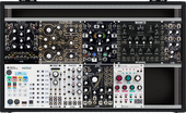 My percoid Eurorack