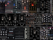 My reptile Eurorack