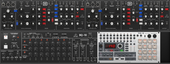 Korg