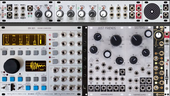 My nymphal Eurorack