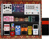 THE PEDALS evolved