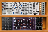 My dumb Eurorack
