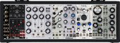 My labroid Eurorack