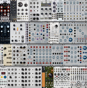 My nymphal Eurorack (copy)